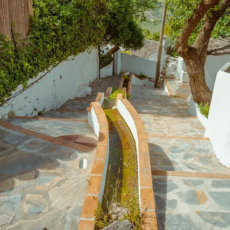 El Tejar